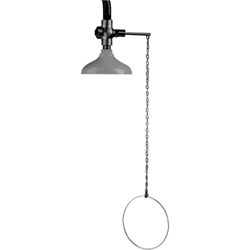 Lifesaver® Emergency Overhead Showers, Ceiling-Mount