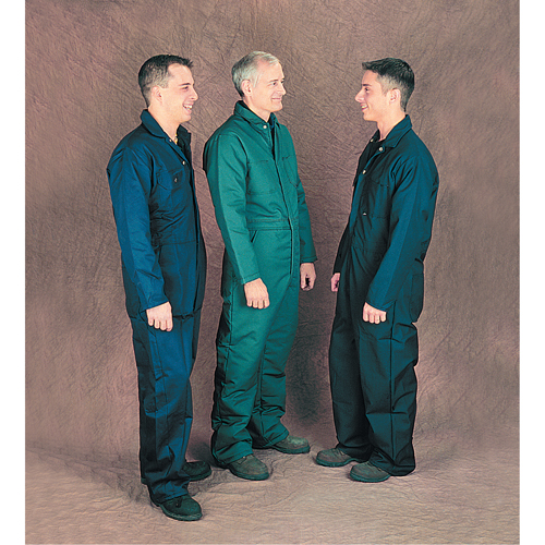 Coveralls, Men's, Green, Size 52
