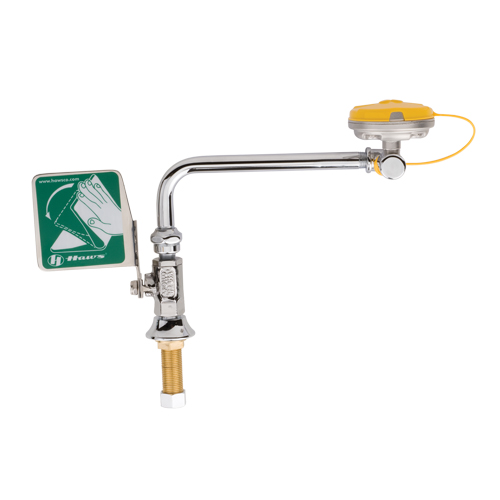 Eye/Face Wash Station, Sink Mount Installation