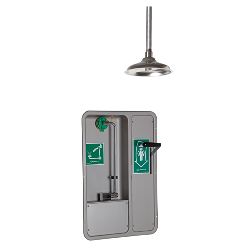 Eye/Face Wash and Shower, Ceiling-Mount
