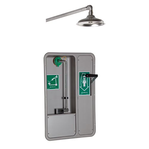 ADA Eye/Face Wash and Shower, Ceiling-Mount