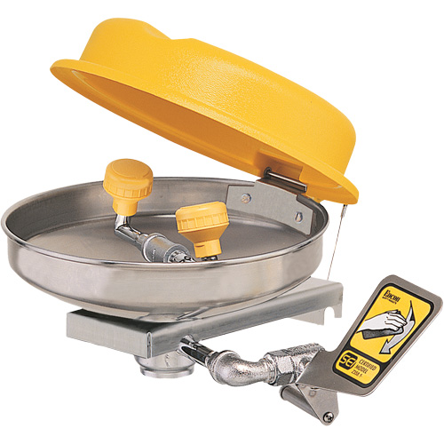 Eyewash Station, Wall-Mount Installation, Stainless Steel Bowl