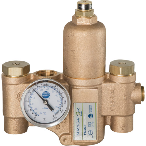 Navigator EFX20 Emergency Fixture Thermostatic Mixing Valve, 30 GPM