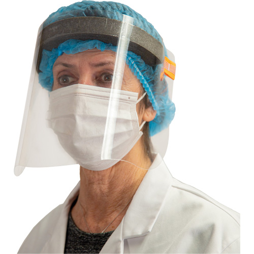 Disposable Faceshield, PET, Clear Tint