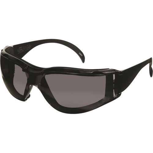CeeTec™ DX Safety Glasses, Grey Lens, Anti-Fog/Anti-Scratch, Meets/Exceeds CSA Z94.3