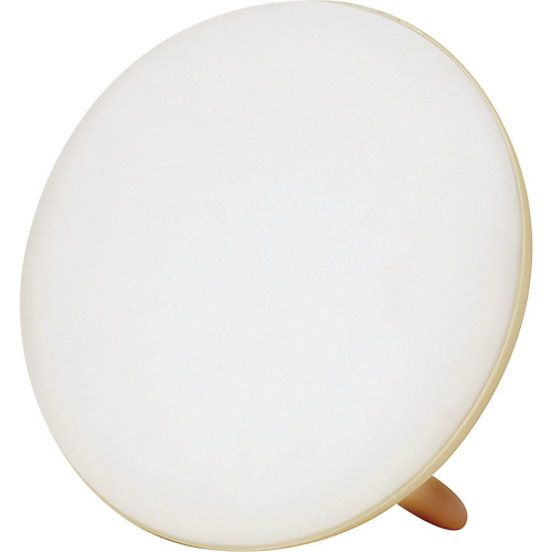 Jumbo Therapy Light for Seasonal Affective Disorder
