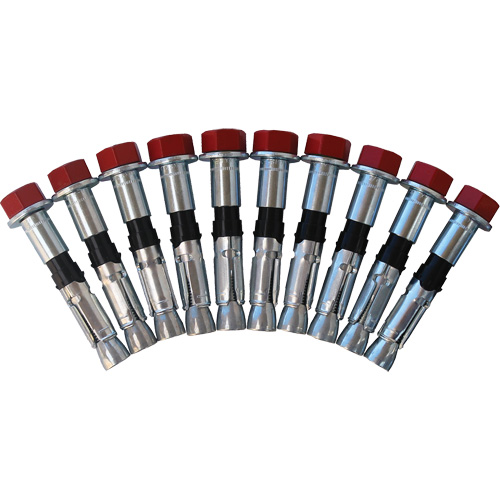 Replacement Bolt Kit for Concrete D-Ring Anchors, Bolt-On, Permanent/Temporary Use
