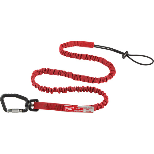 Extended Reach Locking Tool Lanyard, Bungee, Carabiner/Loop