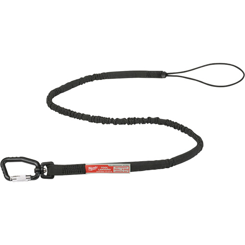 Extended Reach Locking Tool Lanyard, Bungee, Carabiner/Loop