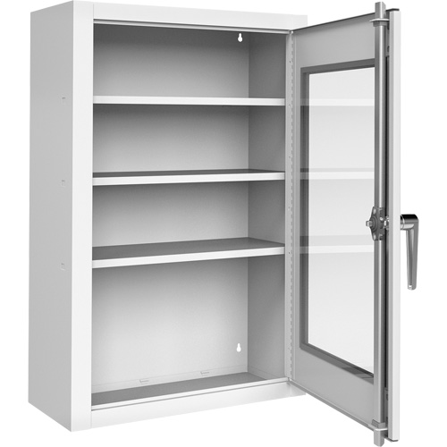 Lockable Medicine Cabinet with Plexiglas Door