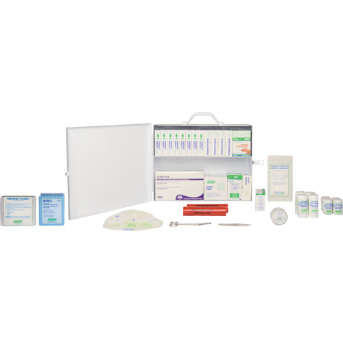 First Aid Kit, Meets CSA Z1220-17 Type 2 Low-Risk Environment, Large (51-100 Workers)