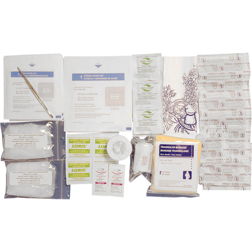Shield™ First Aid Kit Refill, Meets CSA Z1220-17 Type 1 Personal, Personal (1 Worker)