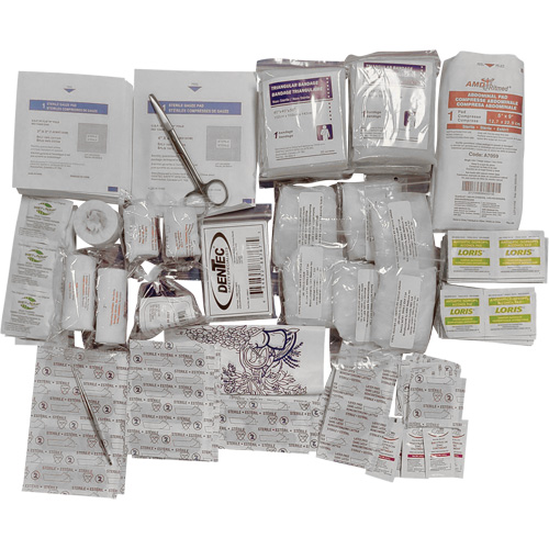 Shield™ Basic First Aid Kit Refill, Meets CSA Z1220-17 Type 2 Low-Risk Environment, Medium (26-50 Workers)