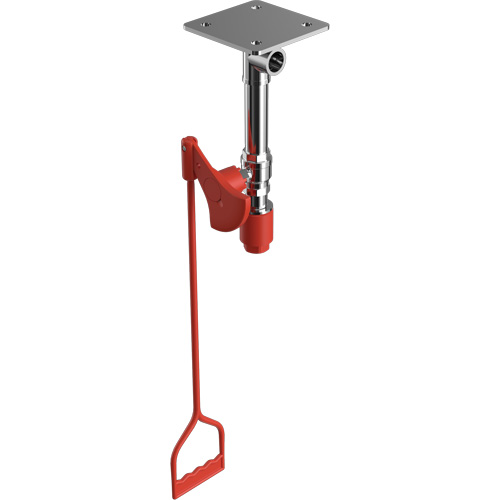 Drench Shower, Ceiling-Mount