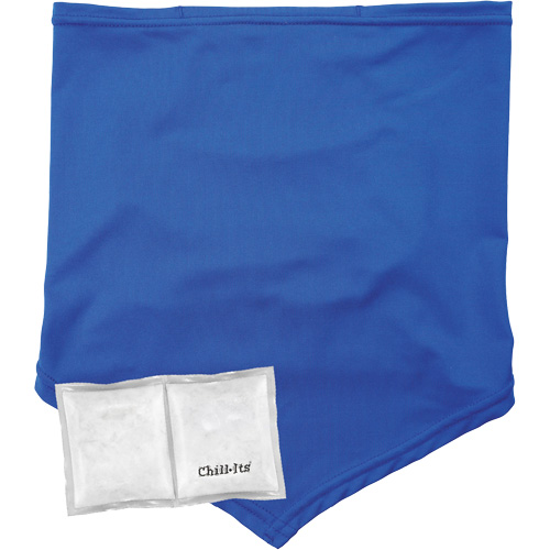Chill-Its 6482 Cooling Neck Gaiter Bandana with Rechargeable Phase Change Packs, Large/X-Large, Blue