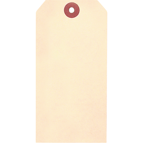 Manila Blank Tags, Cardstock, 2-5/8" W x 5-1/4" H