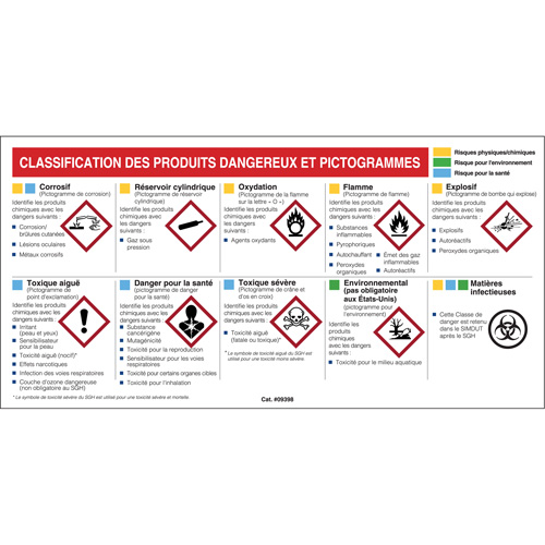 Mini MSDS Chart- French