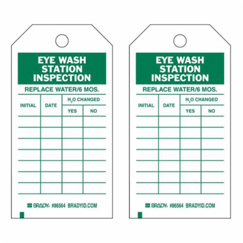 Inspection Record Tags, Polyester, 3" W x 5-3/4" H, English