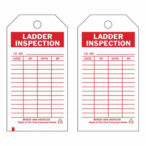 Inspection Record Tags, Polyester, 3" W x 5-3/4" H, English