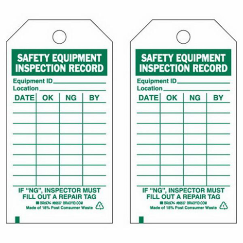 Inspection Record Tags, Polyester, 3" W x 5-3/4" H, English