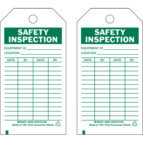 Inspection Record Tags, Polyester, 3" W x 5-3/4" H, English