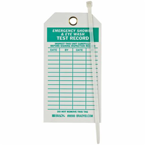 Inspection Record Tags, Polyester, 3" W x 5-3/4" H, English
