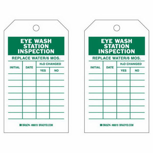 Inspection Record Tags, Polyester, 4" W x 7" H, English