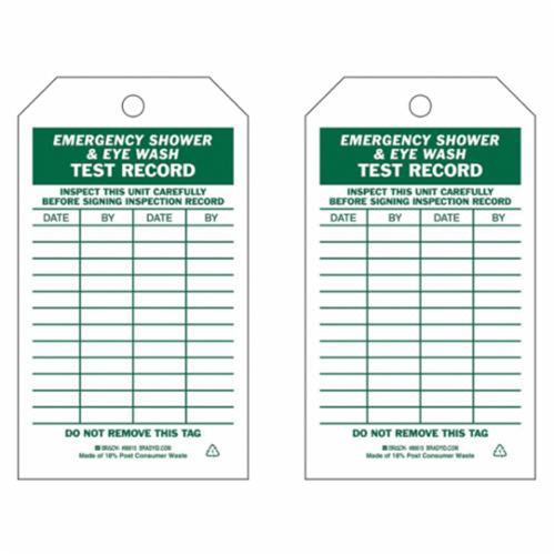 Inspection Record Tags, Polyester, 4" W x 7" H, English