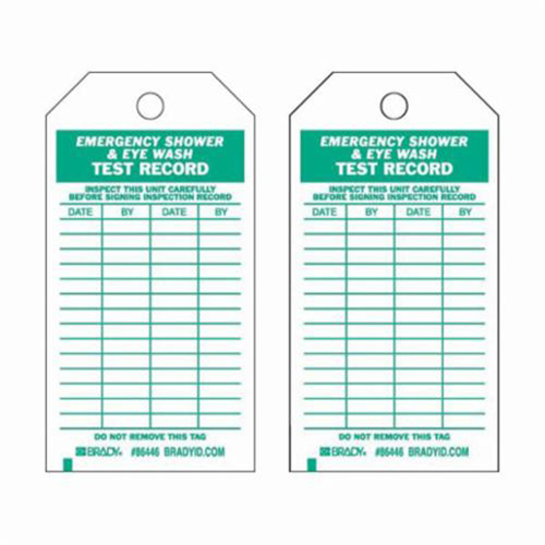 Test Record Inspection Tags, Polyester, 3" W x 5-3/4" H, English