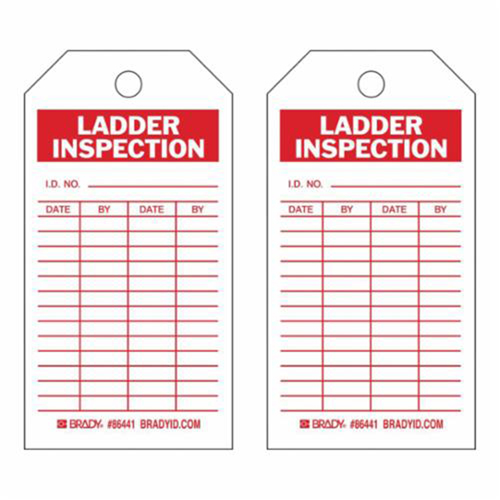 Inspection Record Tags, Polyester, 3" W x 5-3/4" H, English