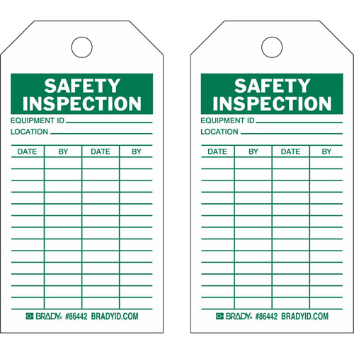 Inspection Record Tags, Polyester, 3" W x 5-3/4" H, English