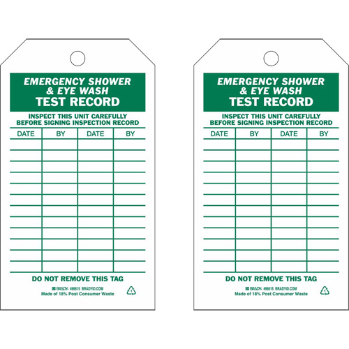 Test Record Inspection Tags, Paper, 3" W x 5-3/4" H, English