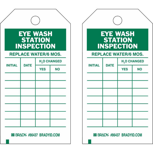 Inspection Record Tags, Polyester, 4" W x 7" H, English