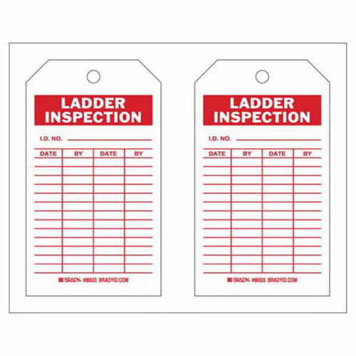 Inspection Record Tags, Polyester, 4" W x 7" H, English