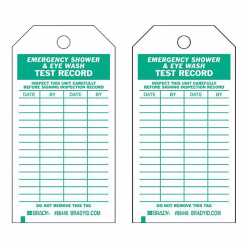 Test Record Tags, Polyester, 4" W x 7" H, English