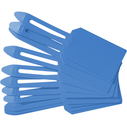 Blank Plastic Lock-On Tags, Plastic, 3-1/4" W x 5-4/5" H, Blank