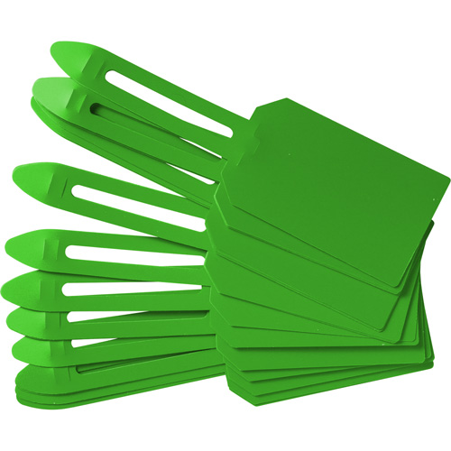 Blank Plastic Lock-On Tags, Plastic, 3-1/4" W x 5-4/5" H, Blank