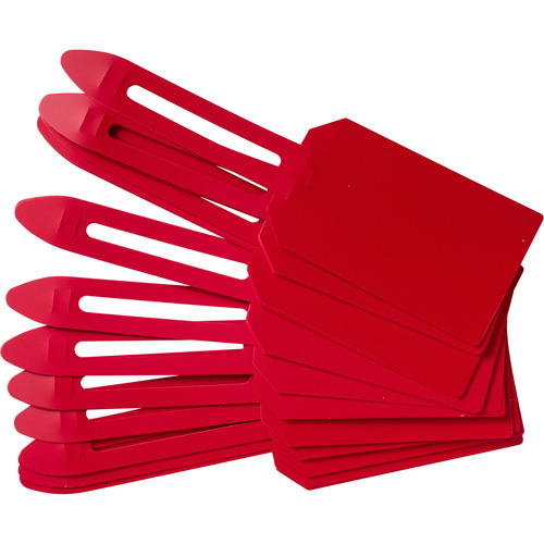 Blank Plastic Lock-On Tags, Plastic, 3-1/4" W x 5-4/5" H, Blank