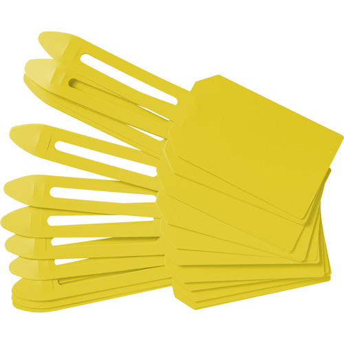 Blank Plastic Lock-On Tags, Plastic, 3-1/4" W x 5-4/5" H, Blank