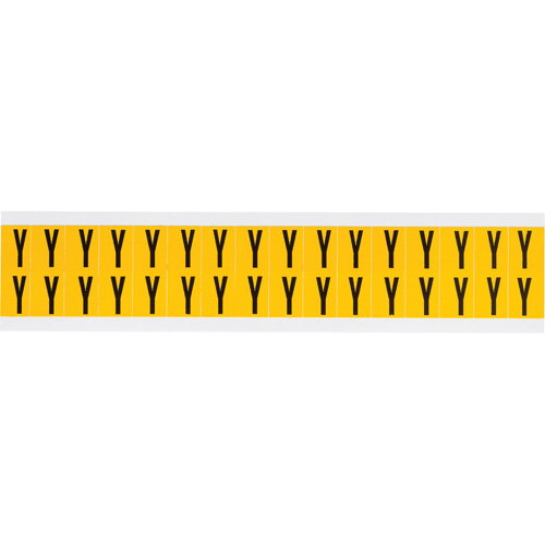 Individual Number & Letter Labels, Y, 5/8" H, Black on Yellow