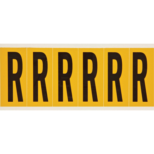 Individual Number & Letter Labels, R, 3" H, Black on Yellow
