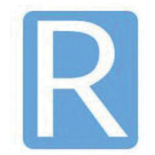 Quick-Align® Individual Gothic Number & Letter Labels, R, 3" H, White