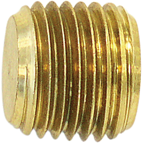 Pipe Plug (Counter Sunk Hex Head), 1/2" Dia., Brass