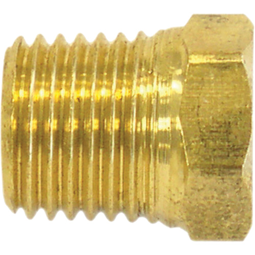 Pipe Plug (Hex Head), 1/2" Dia., Brass