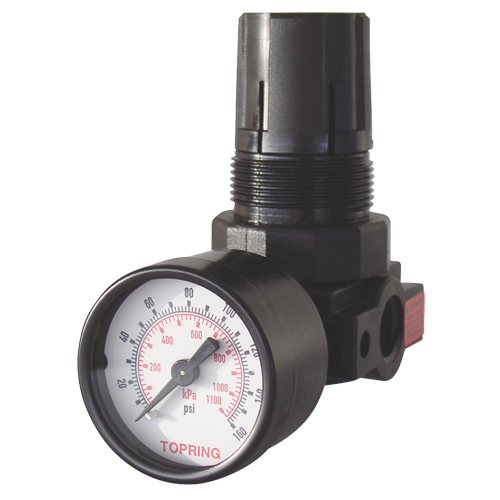 Mini Regulators, 1/4" NPT, 165 PSI Max. PSI, Modular