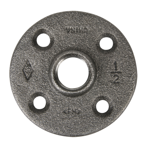 Floor Flanges