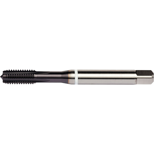 White Shark Straight Flute Tap, High Speed Cobalt, 3/8"-16 Thread