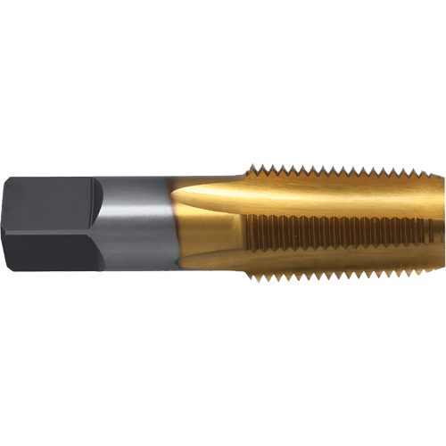 Pipe TiN Tap with Medium Hook, 1/4"-18, 4 Flutes, 2.4375" L, Taper, High Speed Steel