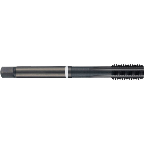 Reduced Shank White Shark Tap, High Speed Cobalt, M16x2 Thread