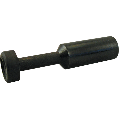 P.t.c. Plug